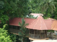 El Bambú Hotel14