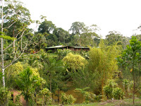 La Laguna del Lagarto Lodge12