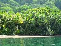 Playa Nicuesa Rainforest Lodge14