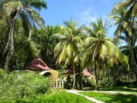 Ylang Ylang Beach Resort12