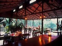 Selva Bananito Lodge13