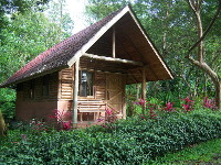 Arenal Oasis Eco Lodge
