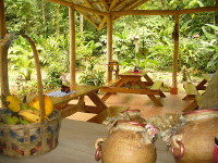 Arenal Oasis Eco Lodge14